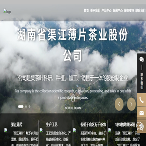 湖南省渠江薄片茶业股份公司