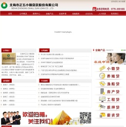 北海市正五小额贷款股份有限公司