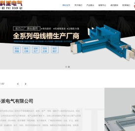 江苏科派电气有限公司