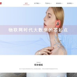 成都维客昕微电子有限公司