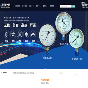 不锈钢差压力表