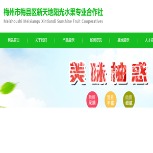 梅州沙田柚,老树冰糖柚,梅州三红蜜柚,梅州红肉蜜柚,梅州白肉蜜柚