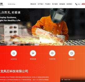 深圳市龙凤芯科技有限公司