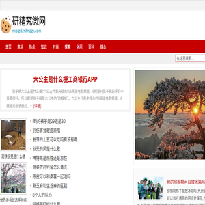 研精究微网