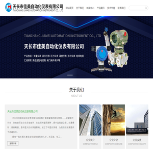 天长市佳美自动化仪表有限公司