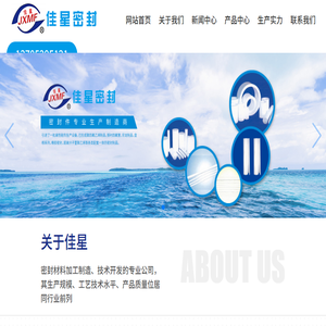 江苏佳星密封件有限公司