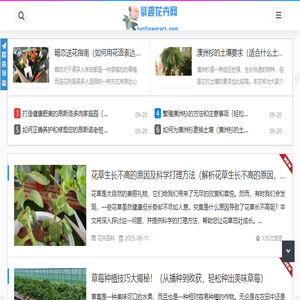 繁趣花卉网