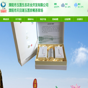 天目湖白茶