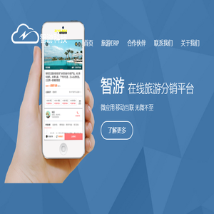 智游科技