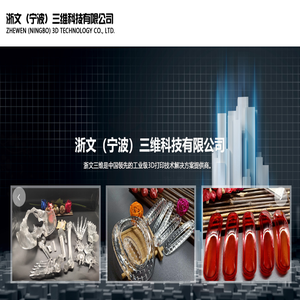 浙文（宁波）三维科技有限公司