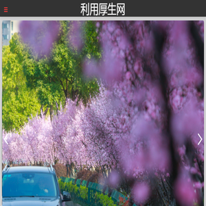 利用厚生网