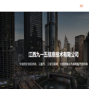 江西九一五信息技术有限公司