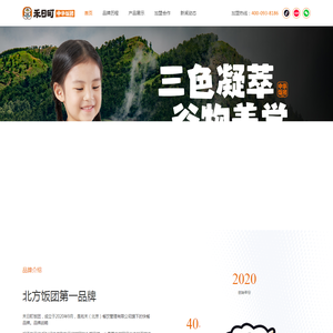 禾日町中华饭团