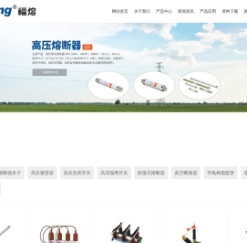 上海福熔电气有限公司