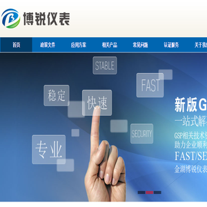 _金湖博锐仪表有限公司