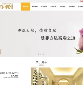 湖南曼菲科技有限公司