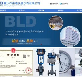 重庆布莱迪仪器仪表有限公司
