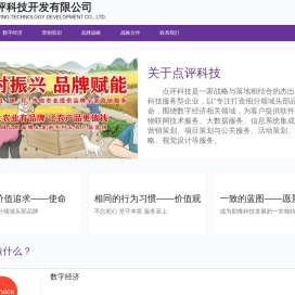 云南点评科技开发有限公司