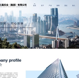 重庆三磊实业(集团)有限公司