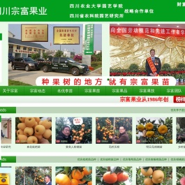 成都天府新区裴忠富果业精品开发服务部