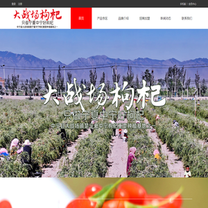 宁夏好枸杞原浆,大战场的品牌之路