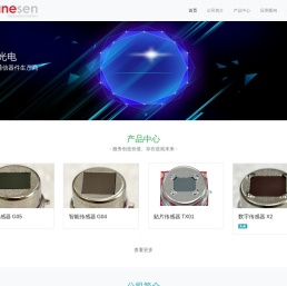 东莞传晟光电有限公司