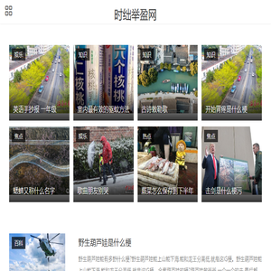 时绌举盈网