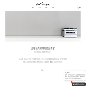 Amina隐形音响