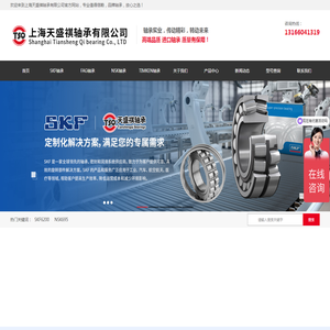 上海天盛祺轴承有限公司