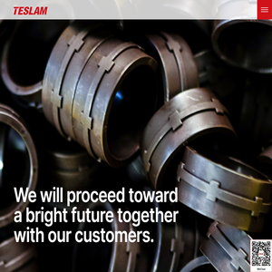 TESLAM