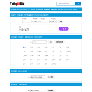 域名批量查询,域名查询工具