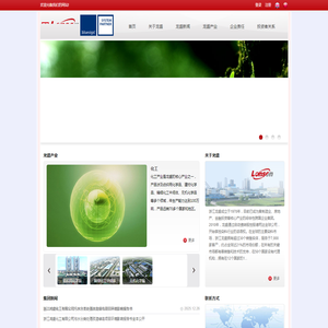 浙江龙盛集团股份有限公司