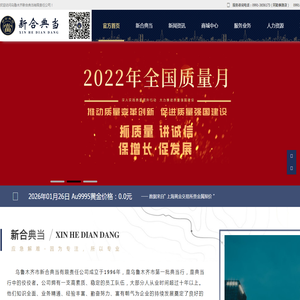 乌鲁木齐市新合典当有限责任公司