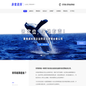 深圳品牌营销策划全案公司