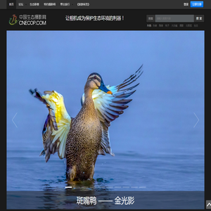 中国生态摄影网