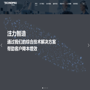 专业的技术人才解决方案