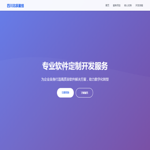 软件定制开发