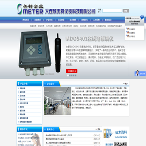 大连欣美特仪表科技有限公司