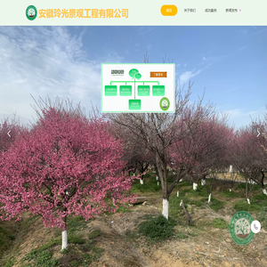 安徽玲光景观工程有限公司