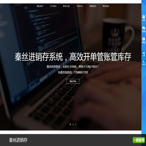 秦丝进销存软件