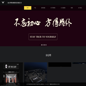 浙江伊维特网络科技有限公司