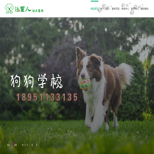 苏州汪星人训犬基地