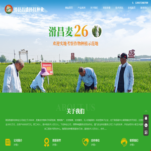 滑县昌盛科技种业有限公司