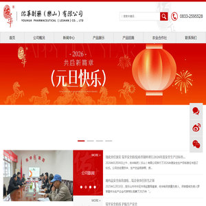 佑华制药(乐山)有限公司