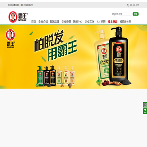 霸王国际(集团)控股有限公司官方网站