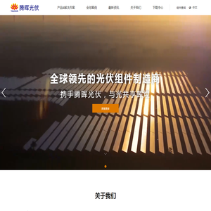 全球领先的光伏组件制造商