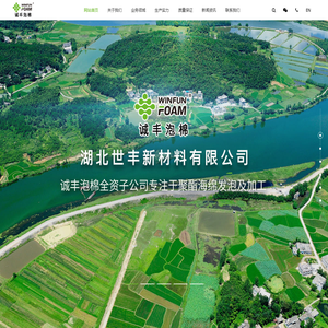 聚酯海绵,顶棚座椅海绵,化妆海绵,泡棉厂家