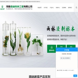 河南雨林教育工程有限公司