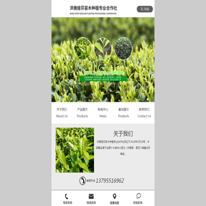 洪雅娅芬苗木种植专业合作社