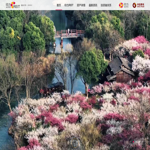 印力消费REIT官网